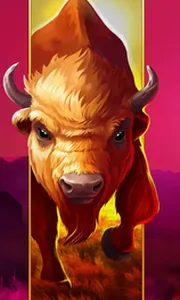 Big Wild Buffalo